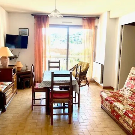 F2 Avec Balcon A Amelie-les-bains - 2 Couchages, Animaux Acceptes, Bien Equipe - Fr-1-703-64 Apartment *
