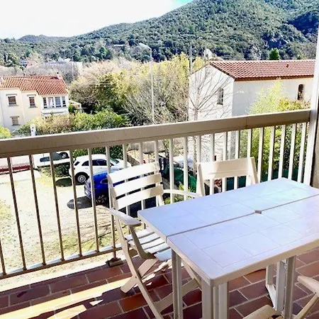 F2 Avec Balcon A Amelie-les-bains - 2 Couchages, Animaux Acceptes, Bien Equipe - Fr-1-703-64 Amelie-les-Bains-Palalda