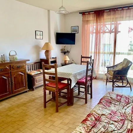 Apartment F2 Avec Balcon A Amelie-les-bains - 2 Couchages, Animaux Acceptes, Bien Equipe - Fr-1-703-64
