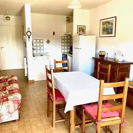 F2 Avec Balcon A Amelie-les-bains - 2 Couchages, Animaux Acceptes, Bien Equipe - Fr-1-703-64 * Amelie-les-Bains-Palalda